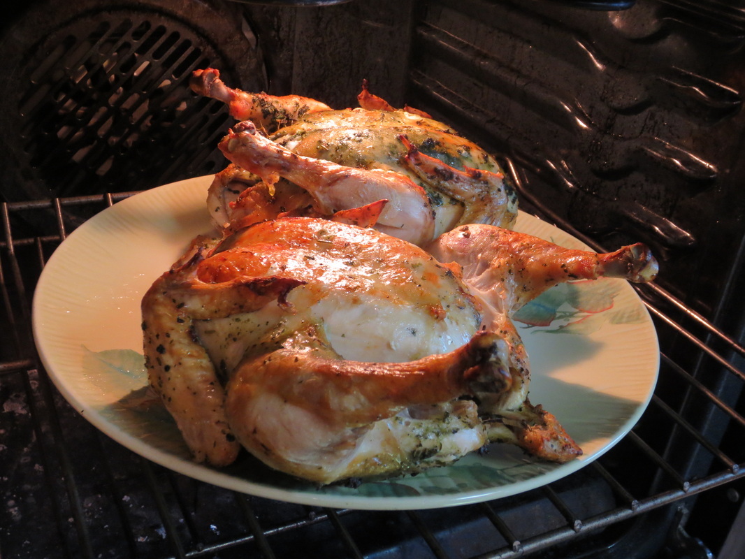 plat of roasted herbed chicken ready to come out of the oven
