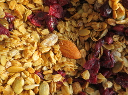 Granola with dried cranberries, pumpkin seeds, sunflower seeds